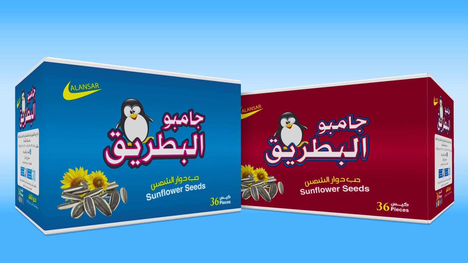 Sunflower seed cases